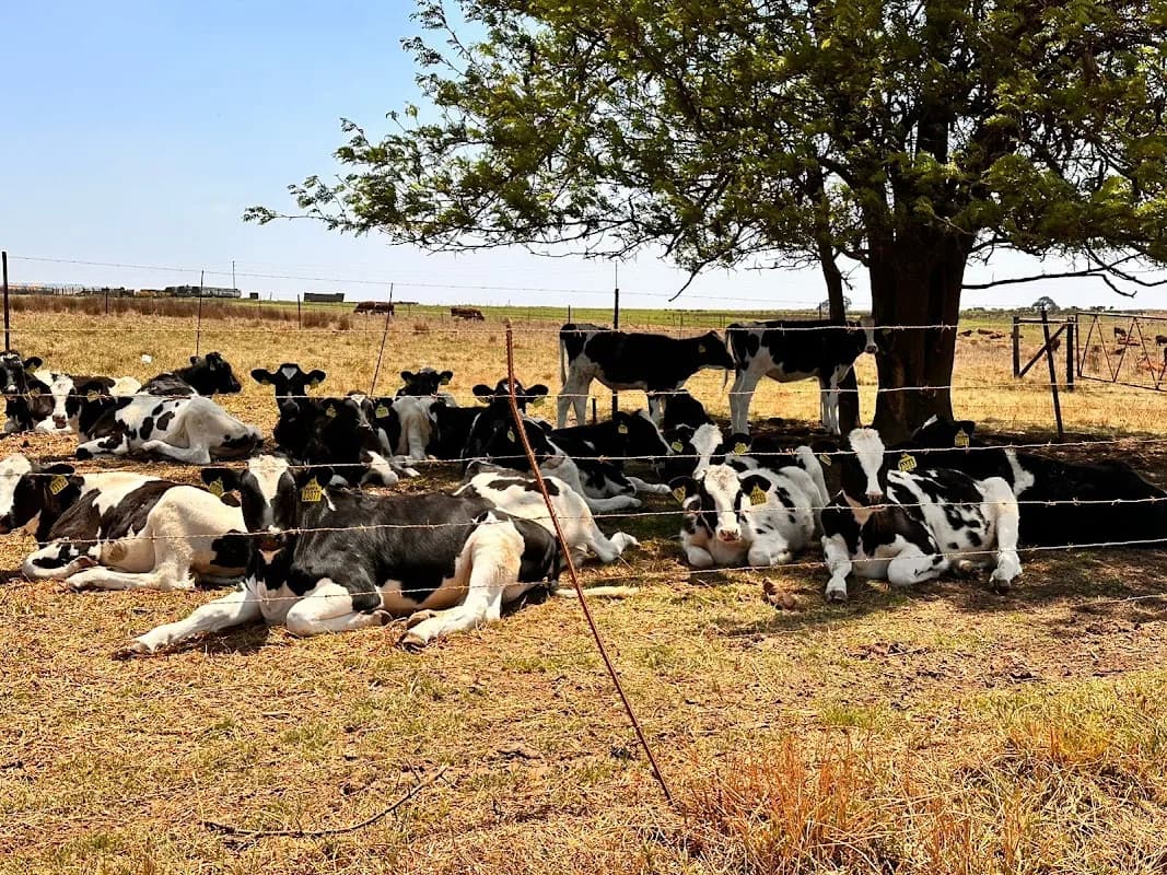 EDE Farming in Aerorand