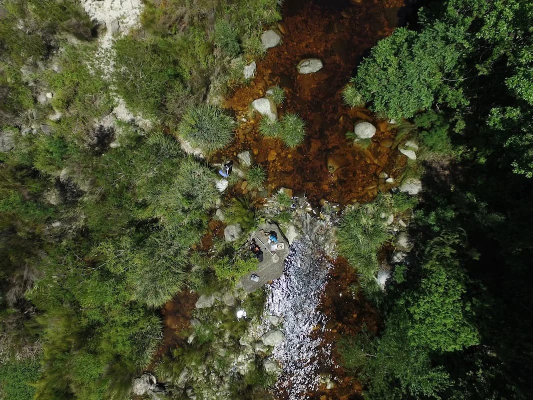 Confluent Environmental in Wilderness