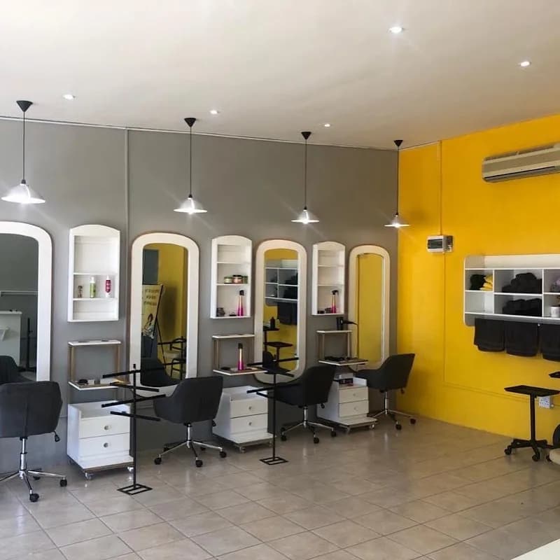 Black Vine Hair Studio in Bloemfontein CBD