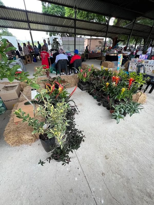 FARMER PRODUCTION SUPPORT UNIT (FPSU) FARMERS MARKET IN RUSTENBURG in Rustenburg CBD