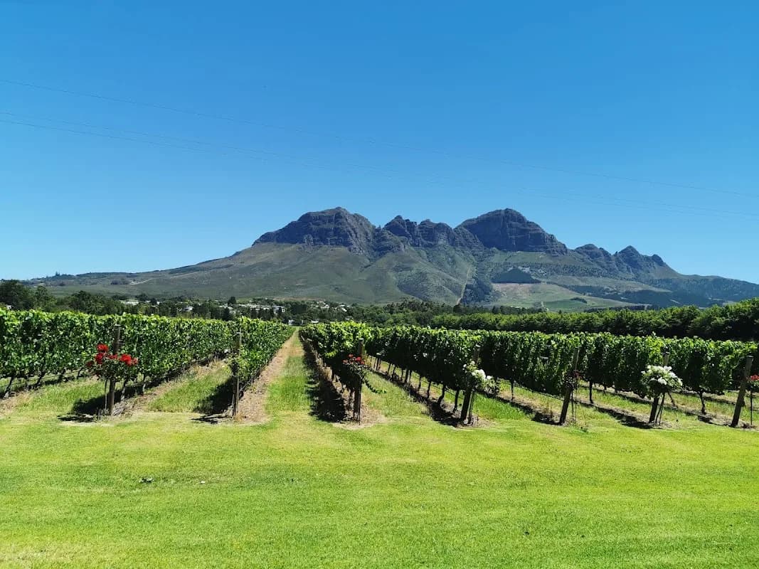 Lourensford Wine Estate in Strand