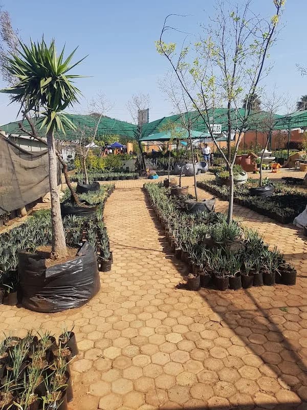 Rietvallei Nursery in Roodepoort