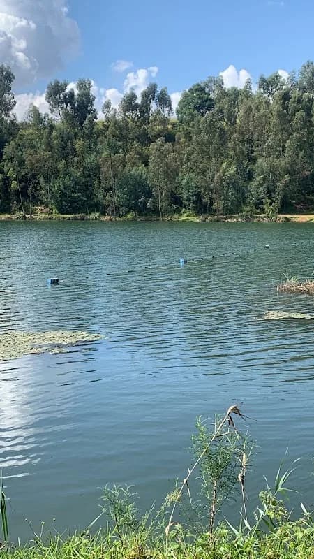 X-Factor Trout Farm in Edenvale