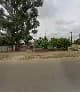 Moringa Green House For Sekanoglobal in Tlhabane