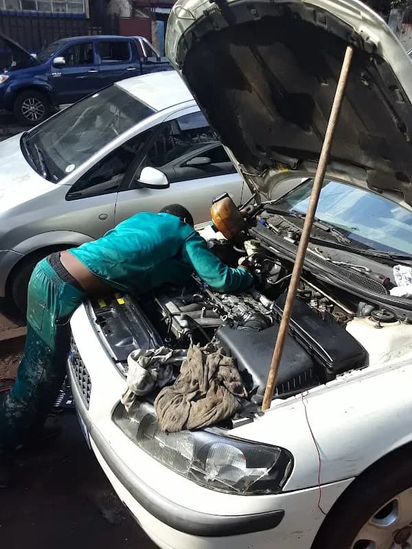 Leo Mobile Mechanic in Houghton