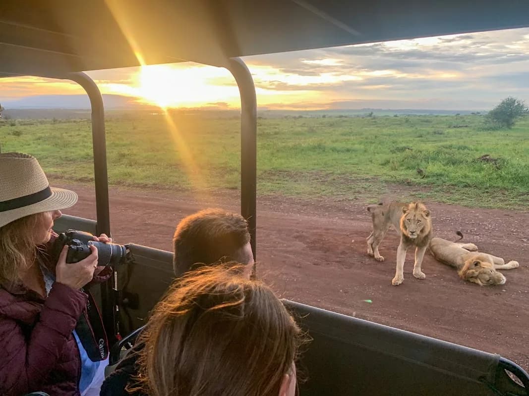 Wild Photo Africa Safaris in White River CBD