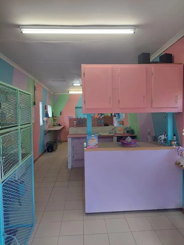 Paws & Claws Doggy Parlour in Welkom CBD
