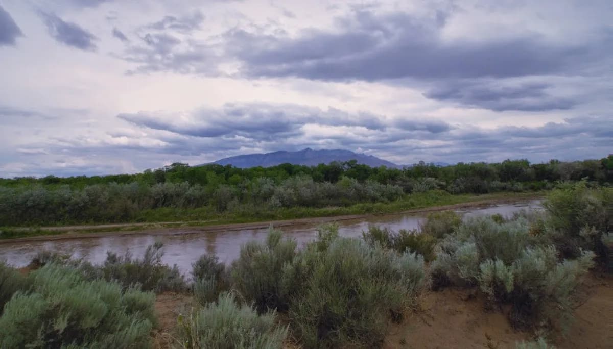 Rio Rancho Realty & Investment in Rio Rancho / Intel