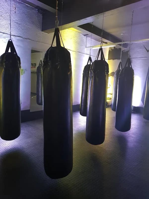 EFC GYM SANDTON in Sandton