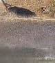 Stabilis Development (Pty) Ltd in Upington CBD