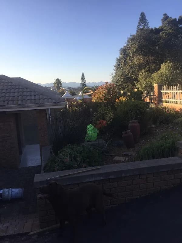 La Belle Vie Aesthetics in Bellville