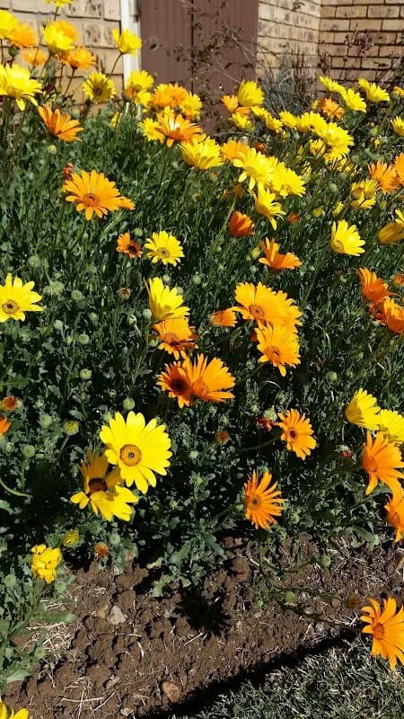 AGS Baillie Park Gemeente Potchefstroom in Baillie Park