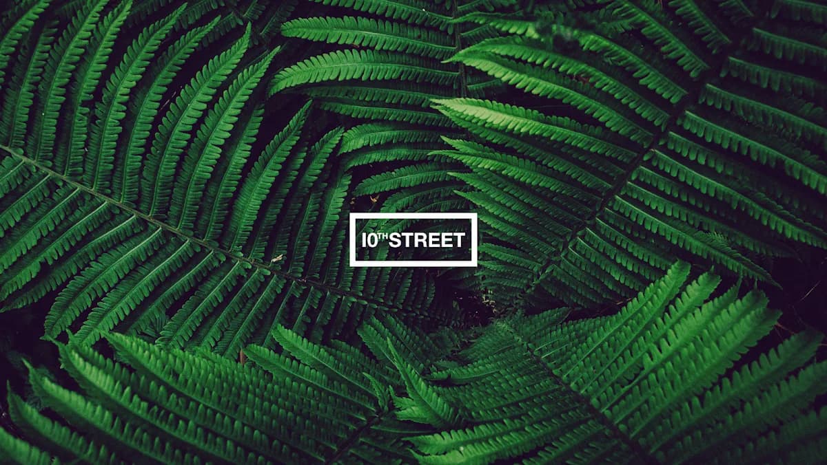 10th Street in Rosebank