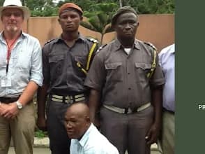 Thems Security Systems Limited in Adeniran Ogunsanya