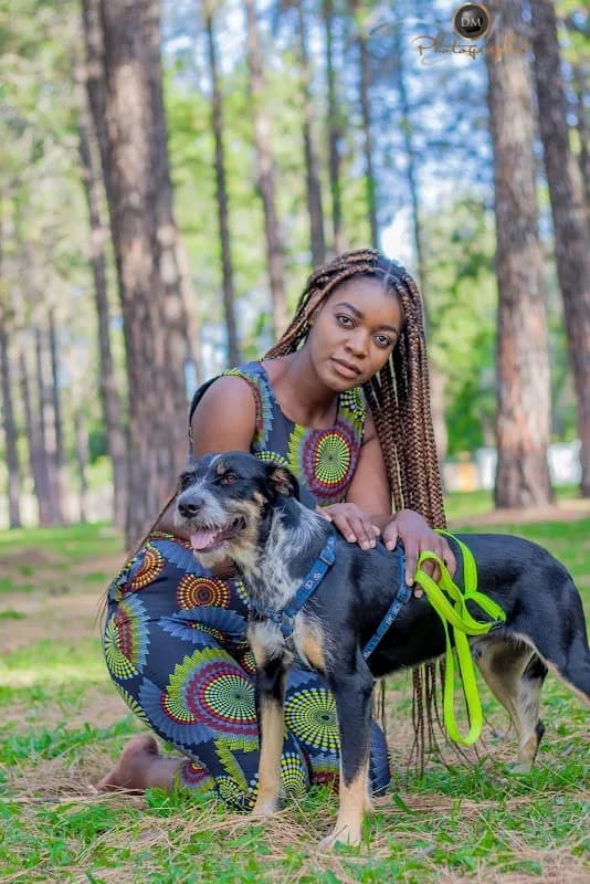 Dm Photography Company Professional in Orlando