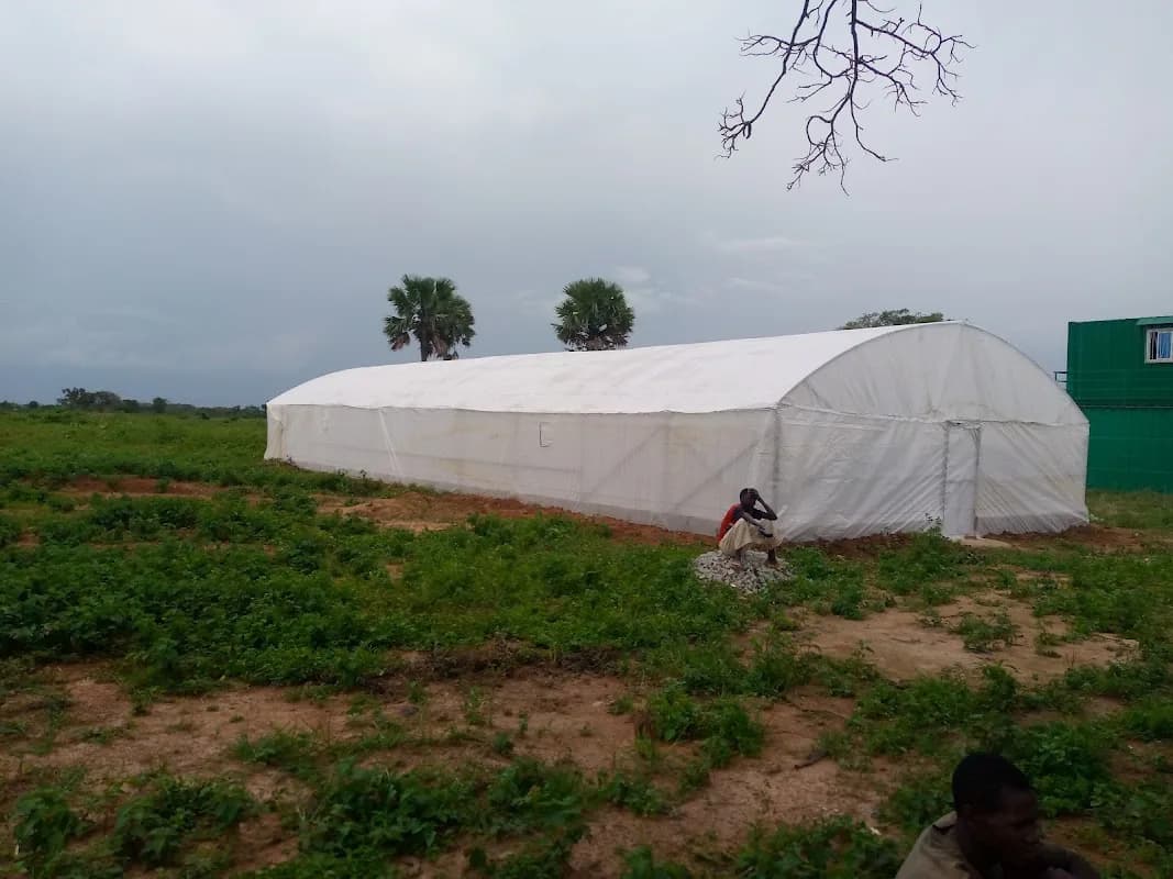 Agrobox Nigeria in Asokoro