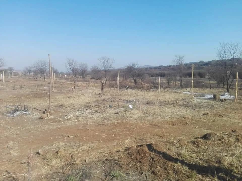 MOGANGWE ESTATE OFFICE in Attridgeville