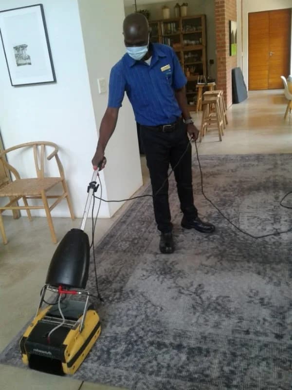 Pest Control in Arcadia