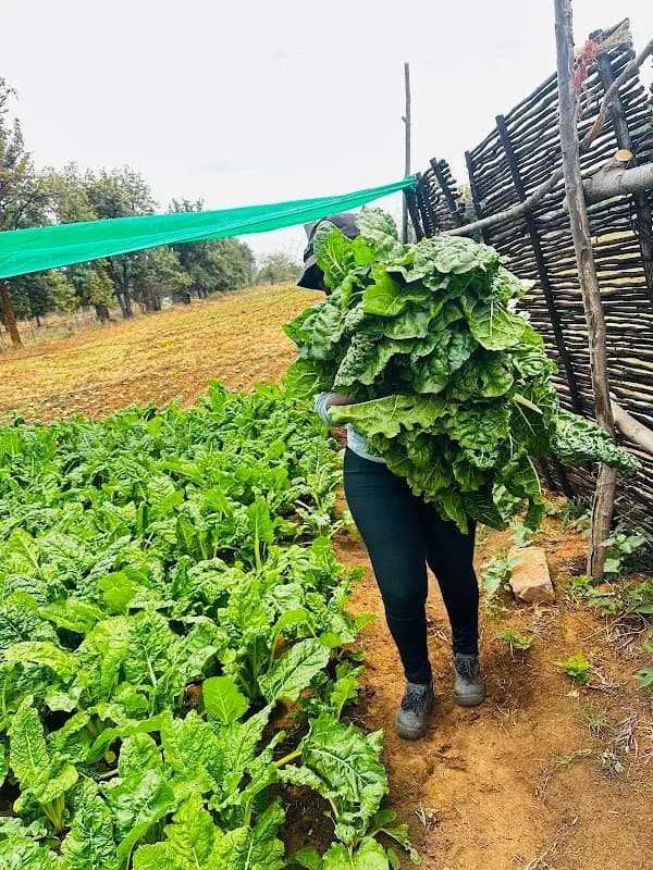 Lisakhanyafarm in Rustenburg CBD
