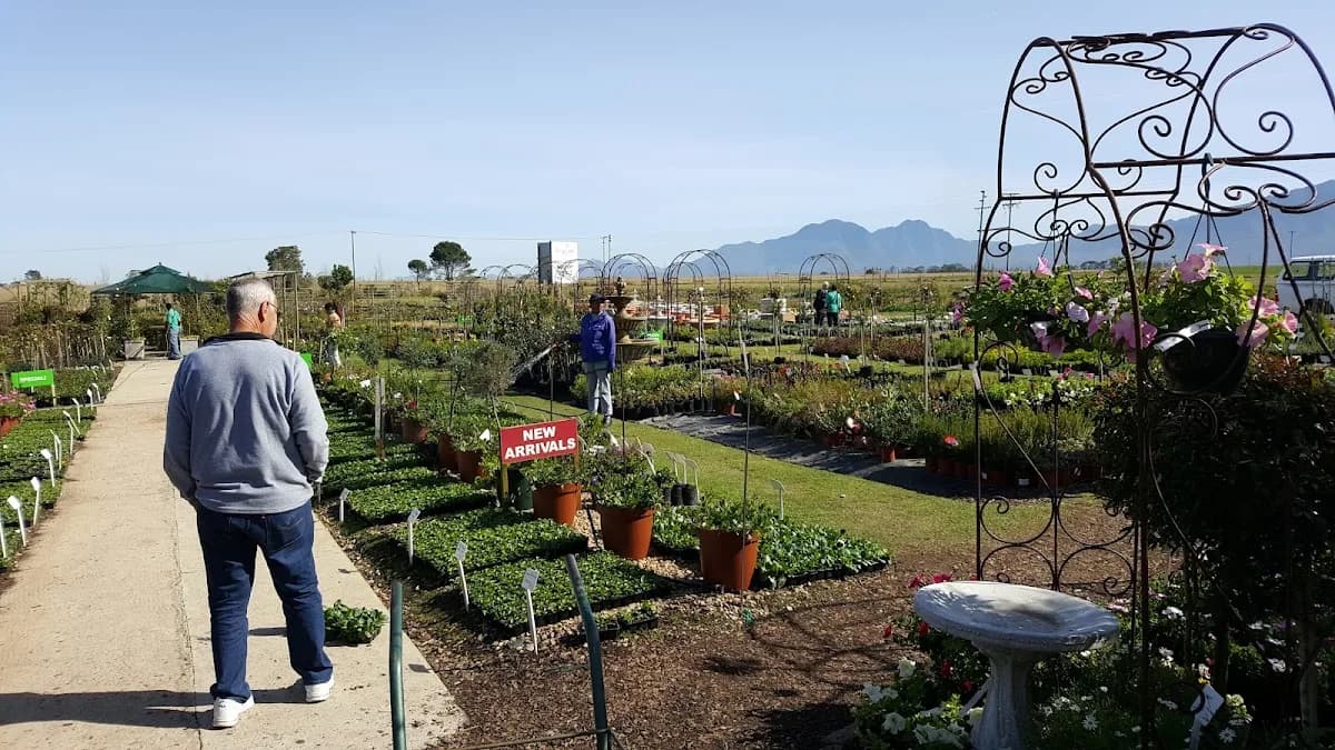 Norgarivier Nursery in Heatherlands