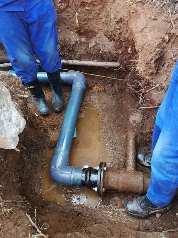 Spring Forest Plumbing and Maintenance in Alberton
