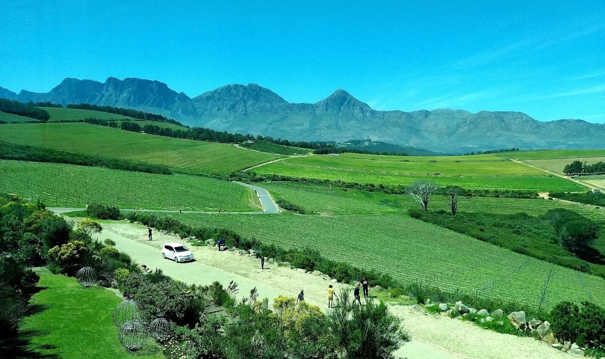 Waterkloof Wine Estate in Strand