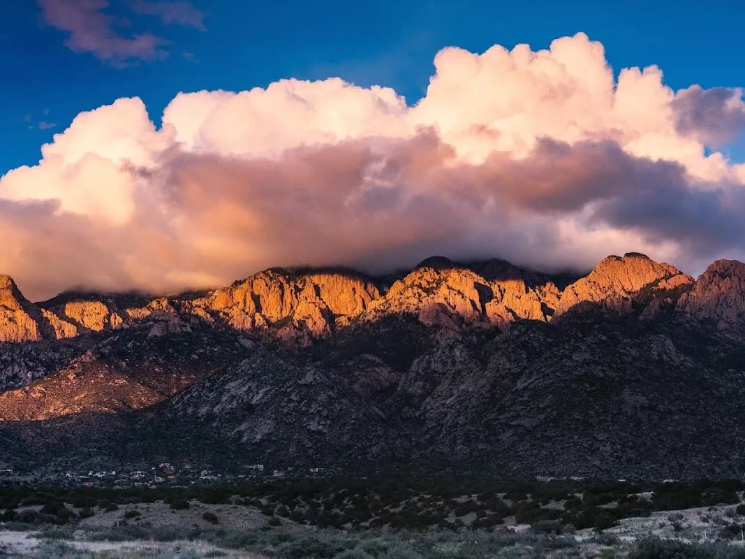 Realty One of New Mexico in Kirtland AFB / Sandia Labs