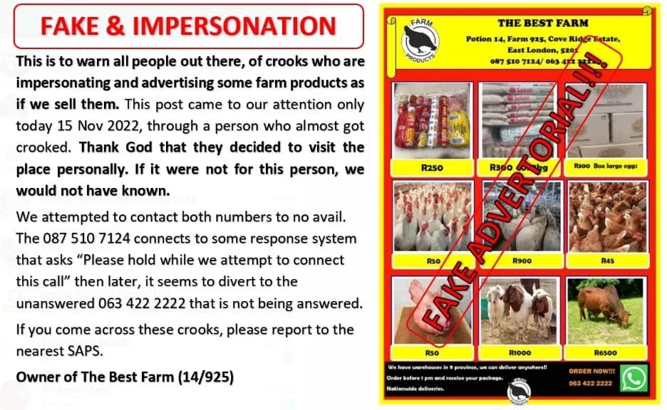 The Best Farm in East London CBD