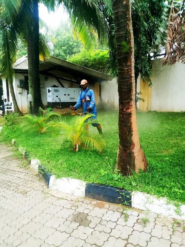 Dorchins Pest Control/cleaning Services in Asokoro
