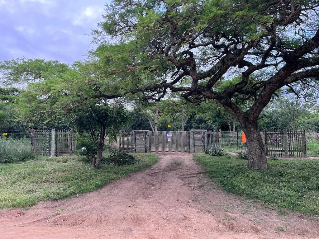 Bee N Nut Farm in Nelspruit CBD