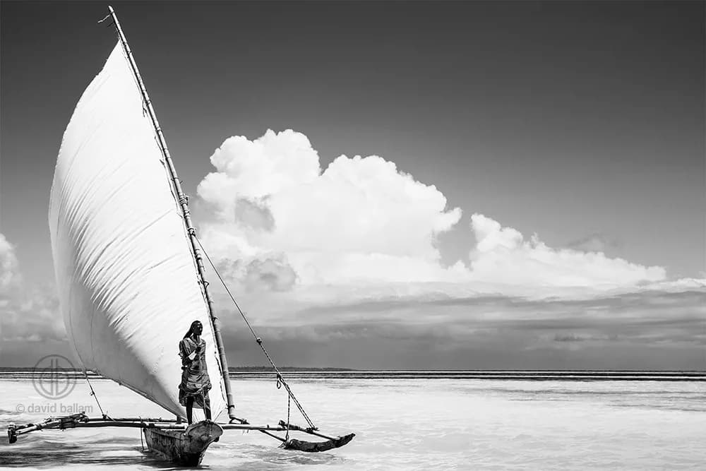 David Ballam Photography in Melville