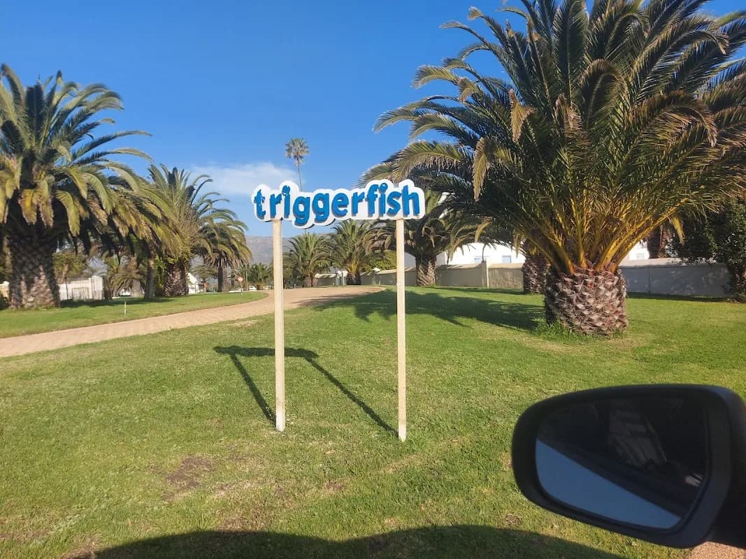 Triggerfish Animation Studios in Tokai