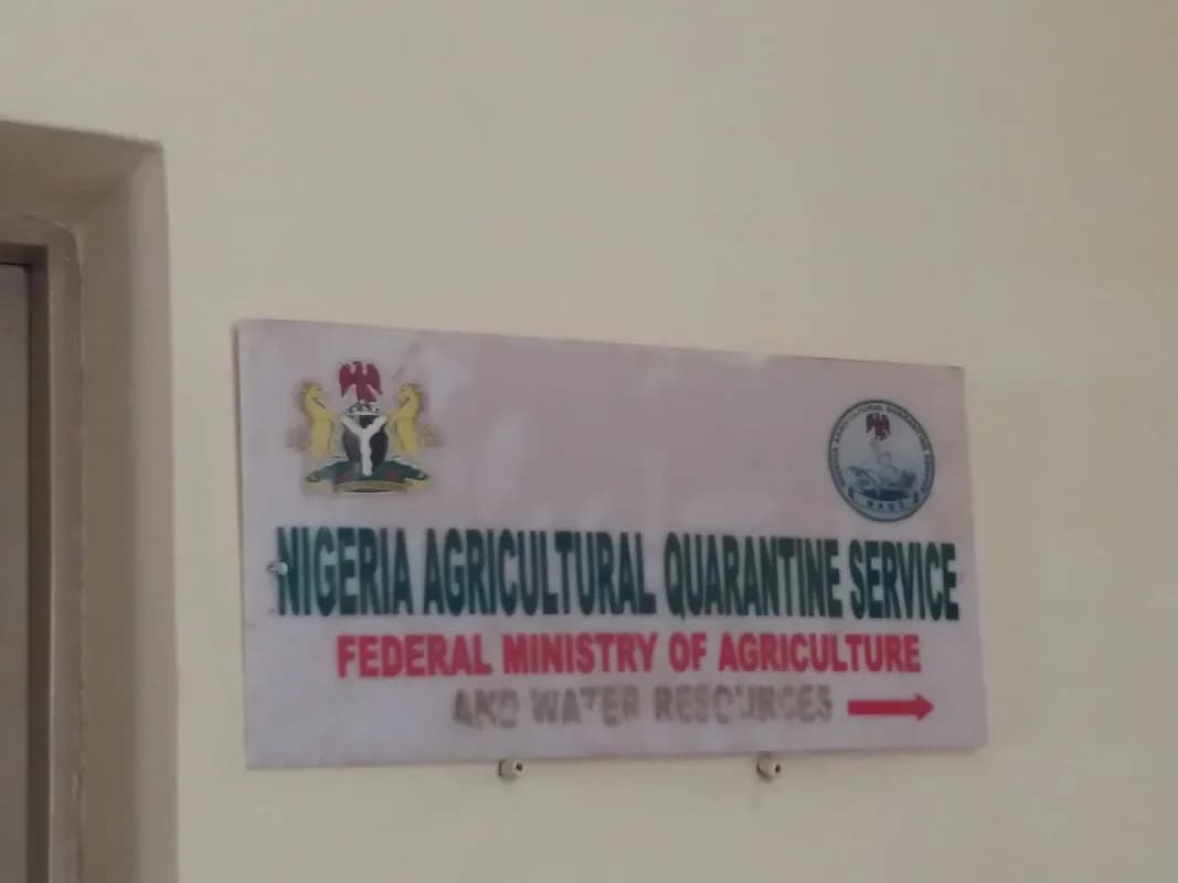 National Agriculture Quarantine Service in Garki Area 11
