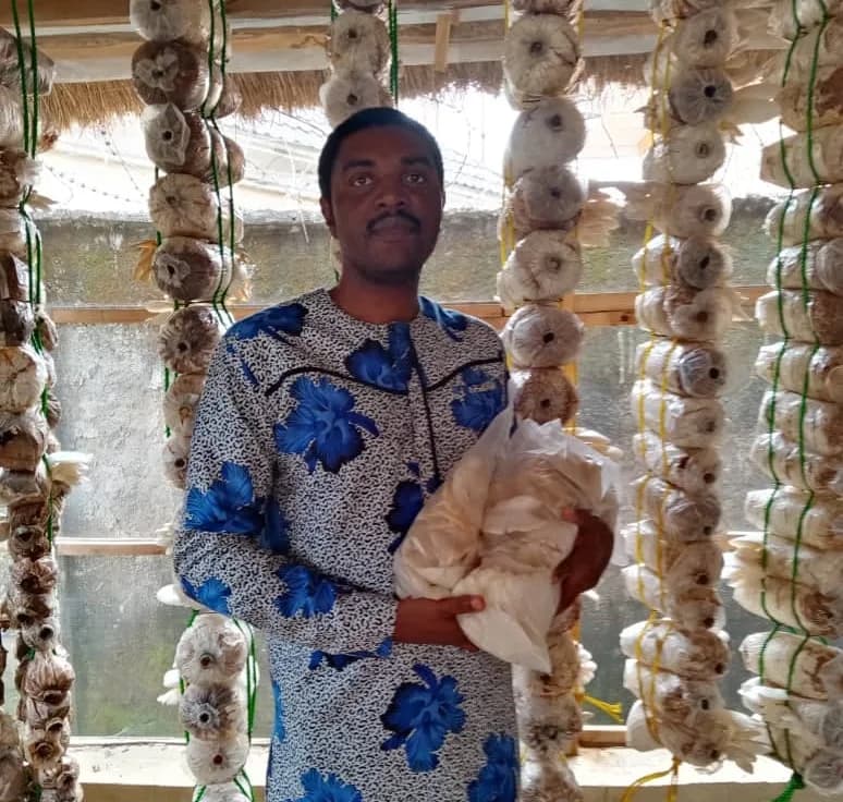 BJ Farms (Organic Mushroom Growers & Processors) in Dutse