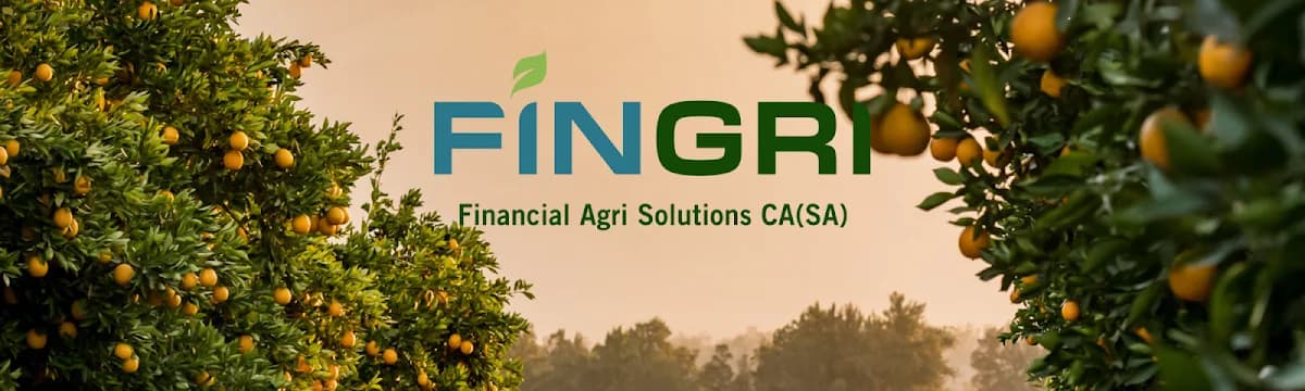 Fingri Chartered Accountants in City Bowl