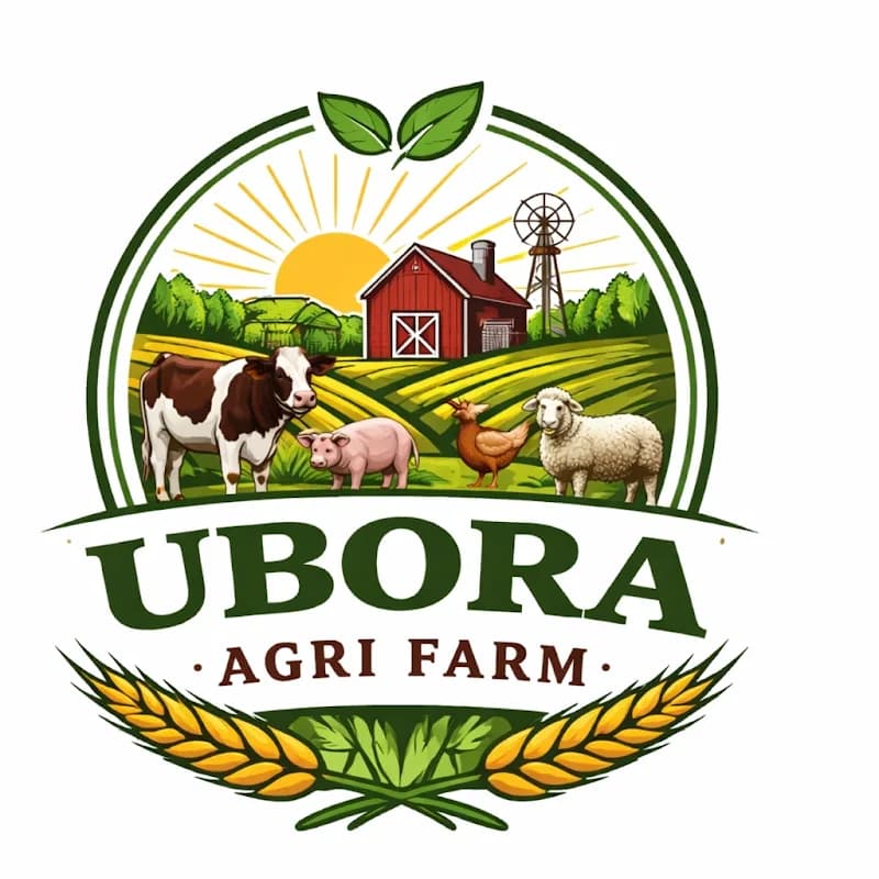 Ubora agri farm in Madadeni