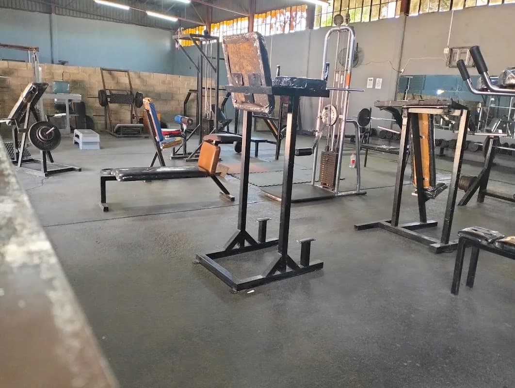 Silver Back Gym in Mangaung