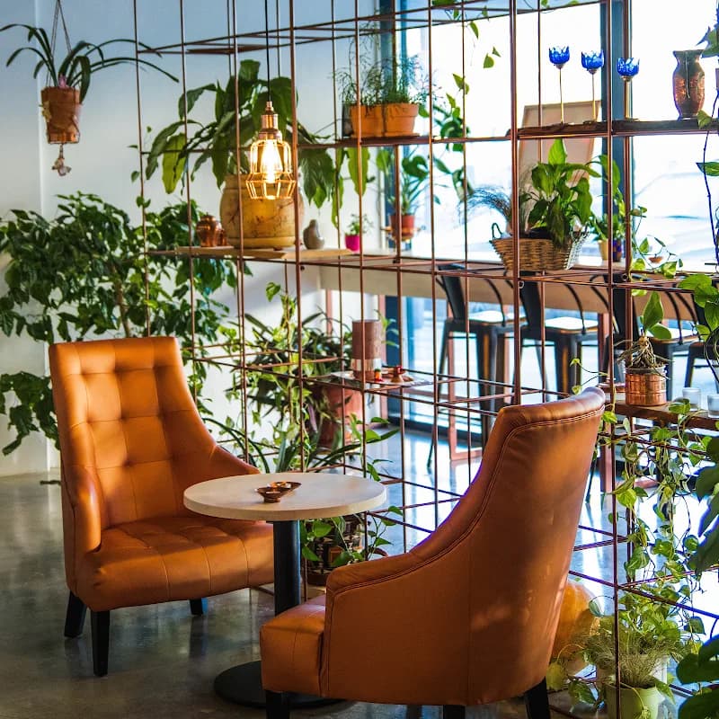 Zohee Designs in Wierda Park