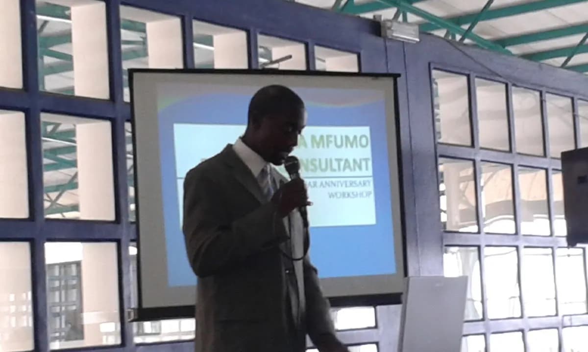 Rhitora Mfumo Business Consultant in Springs