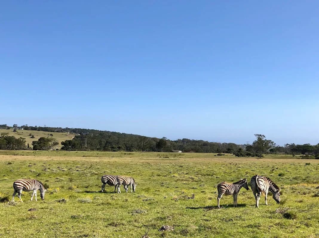 Kragga Kamma Game Park in Newton Park