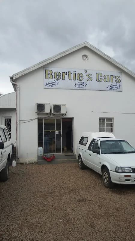 Bertie's Cars in Wellington