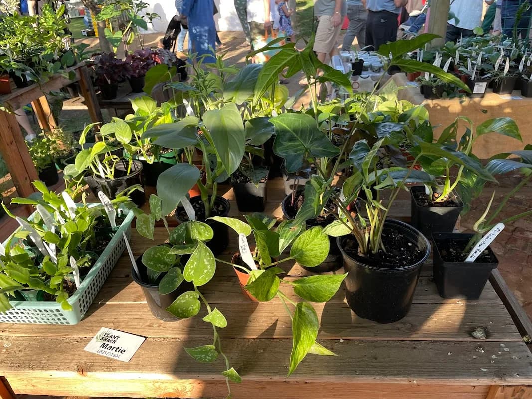 Plant Shack South Africa in Silverton