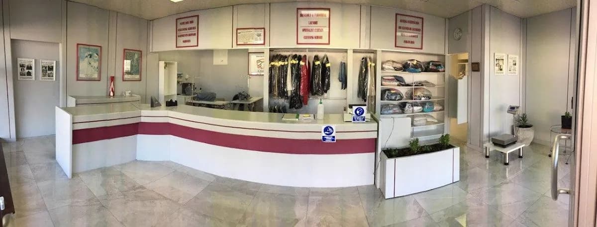 Automat Cleaners in Walmer
