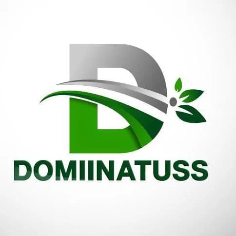 Domiinatuss Global Ventures Limited in Dutse