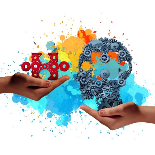 BarGro Marketing & Business Development in Langenhoven Park
