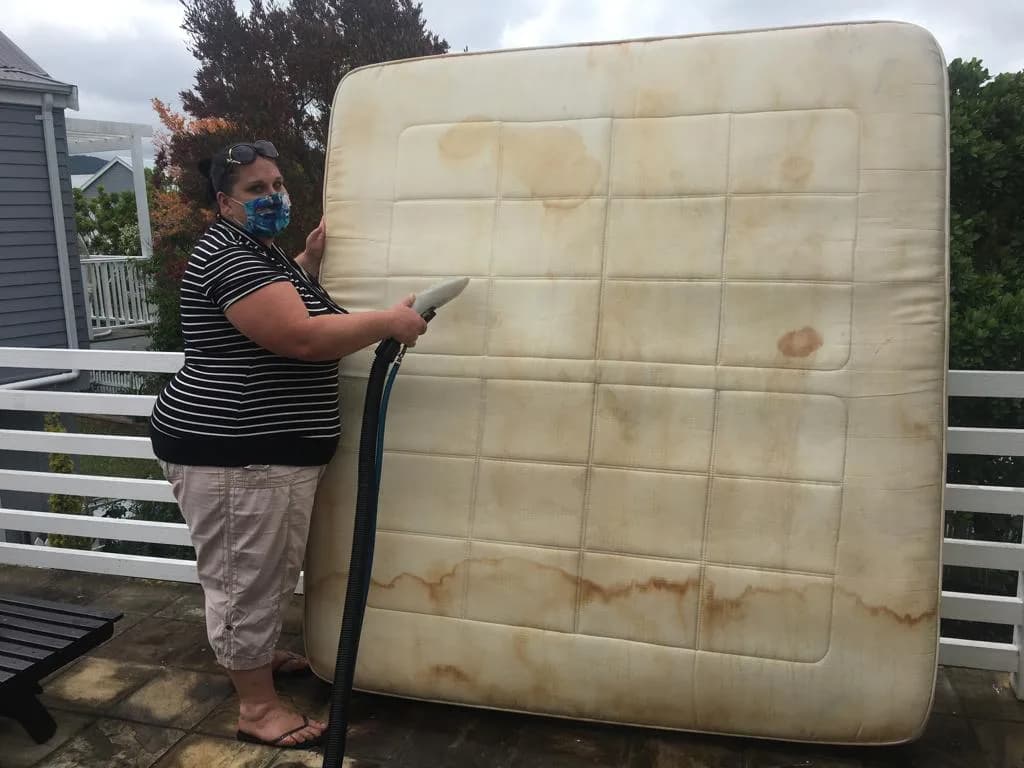 Bubble & Steam Carpet and Upholstery cleaning in Knysna CBD