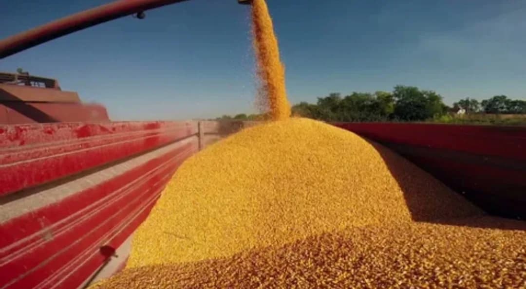 MIL AGRIFARM in Hazyview