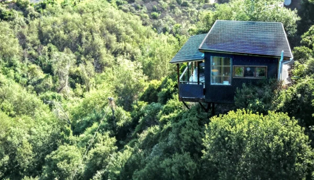 Forest View Studio in Sedgefield