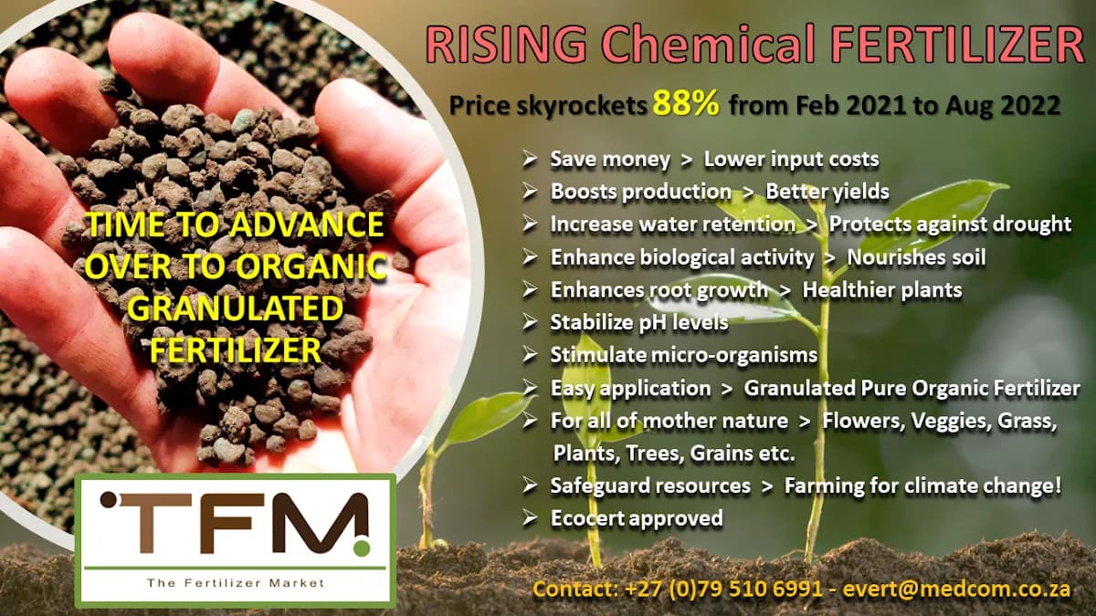 The Fertilizer Market in Roodepoort CBD