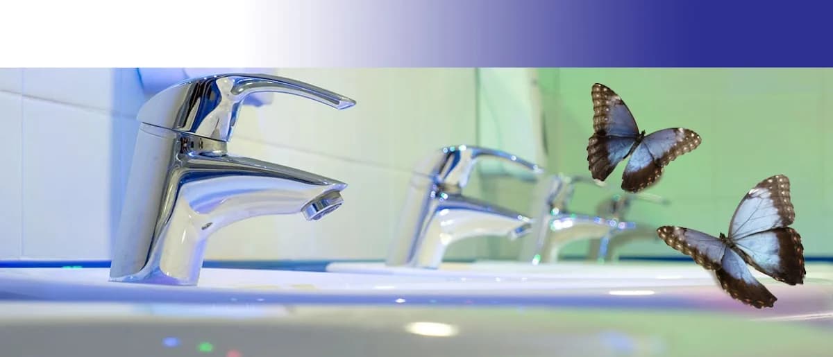 SMART Hygiene Services (Proprietary) Limited in Moreleta Park
